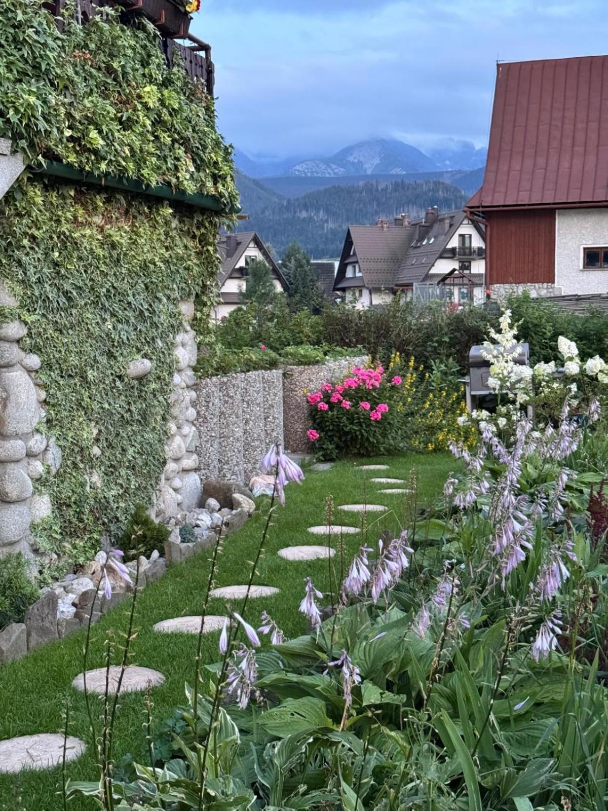 Szafran - Zakopane